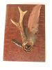 Livre de chasse