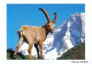 photos cartes
