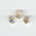 Toupie 4mm  crystal golden shadow x 12