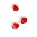 Toupies 3mm light siam x 12