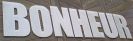 Lettres m�tal BONHEUR