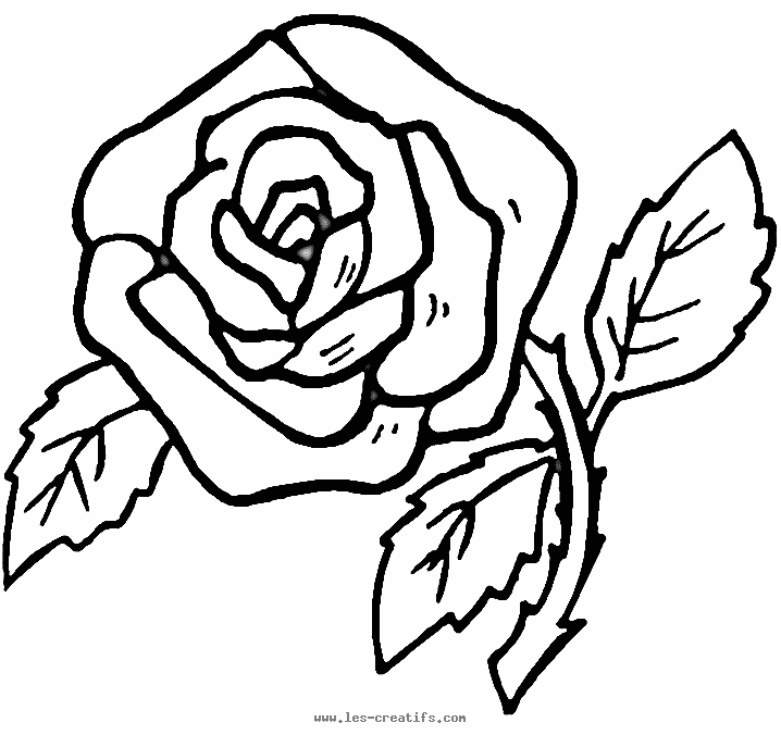 una classe coloring pages of a rose - photo #4