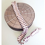 Ruban Fantaisie N°059 au mètre