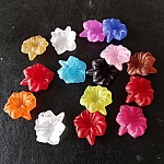 15 Fleurs Orchidée assortis