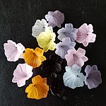 15 Fleurs N°01 assortis