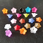 20 Fleurs Myosotis assortis