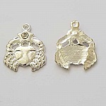 Breloque Signe Zodiaque Cancer Métal Argenté N°04 avec strass