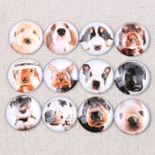 Lot 24 cabochons rond en verre 25mm Chien mixte Glass cabochon 