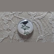 cabochon rond en verre 10mm oiseaux 019 