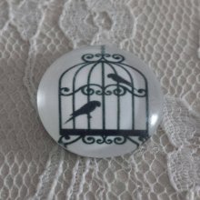 cabochon rond en verre 10mm oiseaux 002 