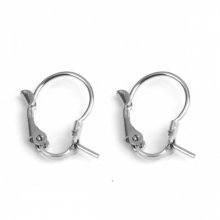 Support Boucle d'oreille Dormeuse Inoxydable N°05