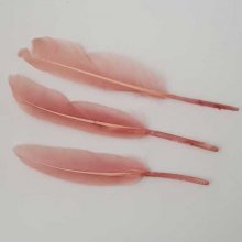 3 Plumes 15 cm N°01 Rose