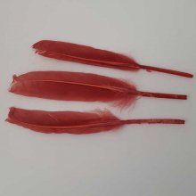 1 Plume 15 cm N°01 Rouge
