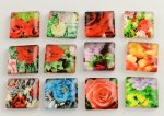 10 cabochons en verre carrés 20 mm assortis Fleurs S-22-20-17