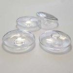 1 Boule en verre Soucoupe Plate 30 mm à remplir