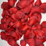 Pétales de rose tissu cloris rouge flammé