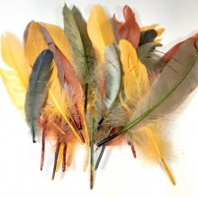 Plumes pour déco, costumes, activités manuelles...