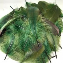 Plumes vertes pour déco, activités manuelles, costumes...