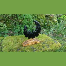 'Black moon' sculpture en mélèze avec son socle en loupe de peuplier