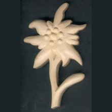 Edelweiss découpée sculptée a la main cirée nature