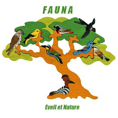  FAUNA 