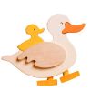 canard et toboggan