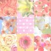 Serviette papier motif bouquets fleurs 33 cm X 33 cm 3 plis