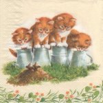 Serviette papier 4 chatons dans l'herbe 33cm X 33 cm 3 plis