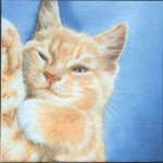 Serviette papier motif chat qui dort 33 cm X 33 cm 3 plis