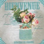 Serviette papier Bienvenue 33 cm X 33 cm 3 plis