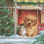 Serviette papier Chien et chat 25 cm X 25 cm 3 plis