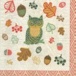 Serviette papier chouette 25 cm X 25 cm 2 plis