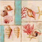 Serviette papier Coquillages et coraux 33 cm X 33 cm 3 plis