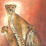 Serviette papier Guépard et petits 33 cm X 33 cm 3 plis
