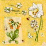 Serviette papier narcisse  33 cm X 33 cm 3 plis