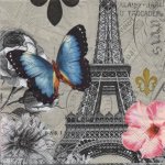 Serviette papier papillons bleu 33 cm X 33 cm 3 plis