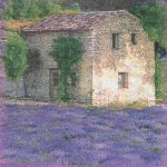 Serviette papier Provence Lubéron 33 cm X 33 cm 2 plis