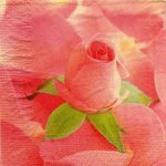 Serviette papier rose et feuilles 33 cm X 33 cm 3 plis