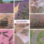 Serviette papier lavande et fleurs 33 cm X 33 cm 3 plis