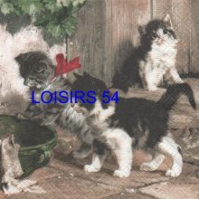 Serviette papier 3 chatons
