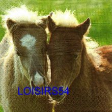 Serviette papier 2 poneys.