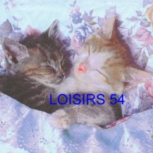 Serviette papier 2 chats dormeur