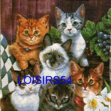 Serviette papier 6 chats 33 cm x 33 cm 2 plis