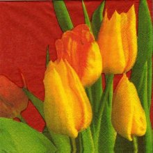 Serviette papier tulipes jaunes .
