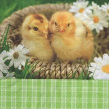 Serviette papier 2 poussins de Pâques 33 cm X 33 cm