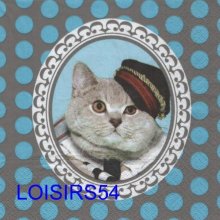 Serviette papier chat avec casquette