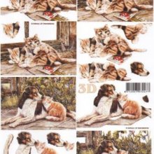 Feuilles 3D chat brun et chien