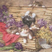 Serviette papier 4 chatons et malle 33cm X 33 cm 3 plis