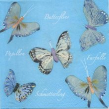 Serviette papier 5 papillons 33 cm X 33 cm 3 plis