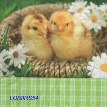 Serviette papier 2 poussins de Pâques - 33 cm x 33 cm